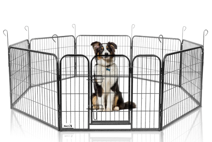 Stabiele hondenren voor puppies van MaxxPet