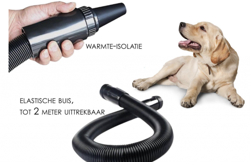 Waterblazer of föhn voor honden